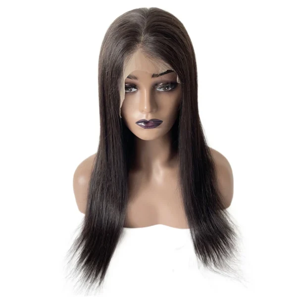 12 Inches Vietnamese Virgin Human Hair Natural Color 150% Density 4x4 Silk Top Full Lace With PU Perimeter Wig for Black Woman - Image 2