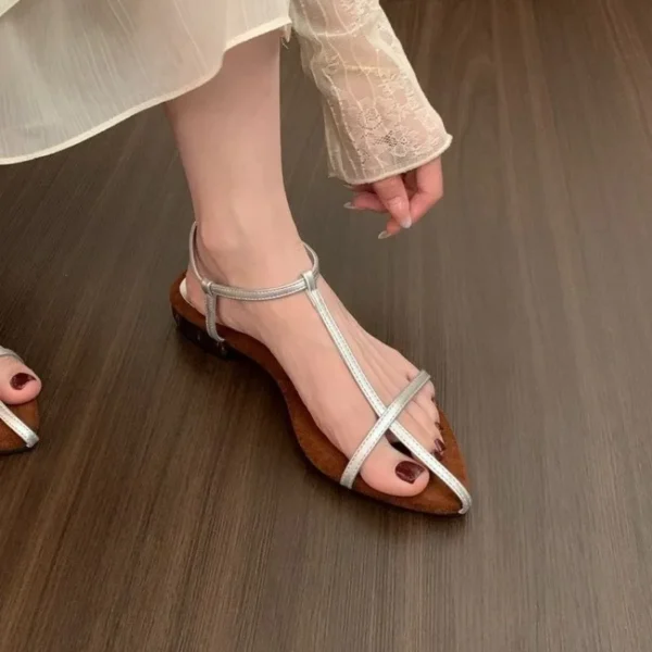 Women Sandals 2025 New Fashion Narrow Band Flat Heel Sandals Pointed Toe Ankle Buckle Gladiator Shoes Ladies Sandalias De Mujer - Image 4